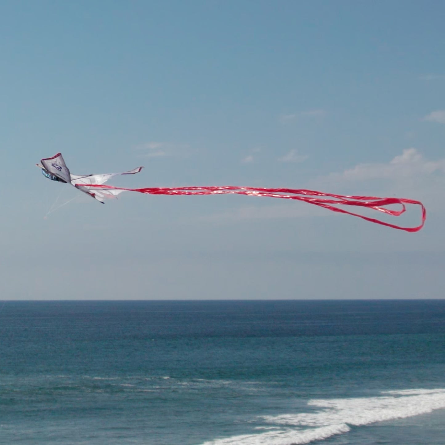 WindNSun SuperSized Fighter Jet Nylon Kite w/ 3D Cockpit, 57 Inches Wide