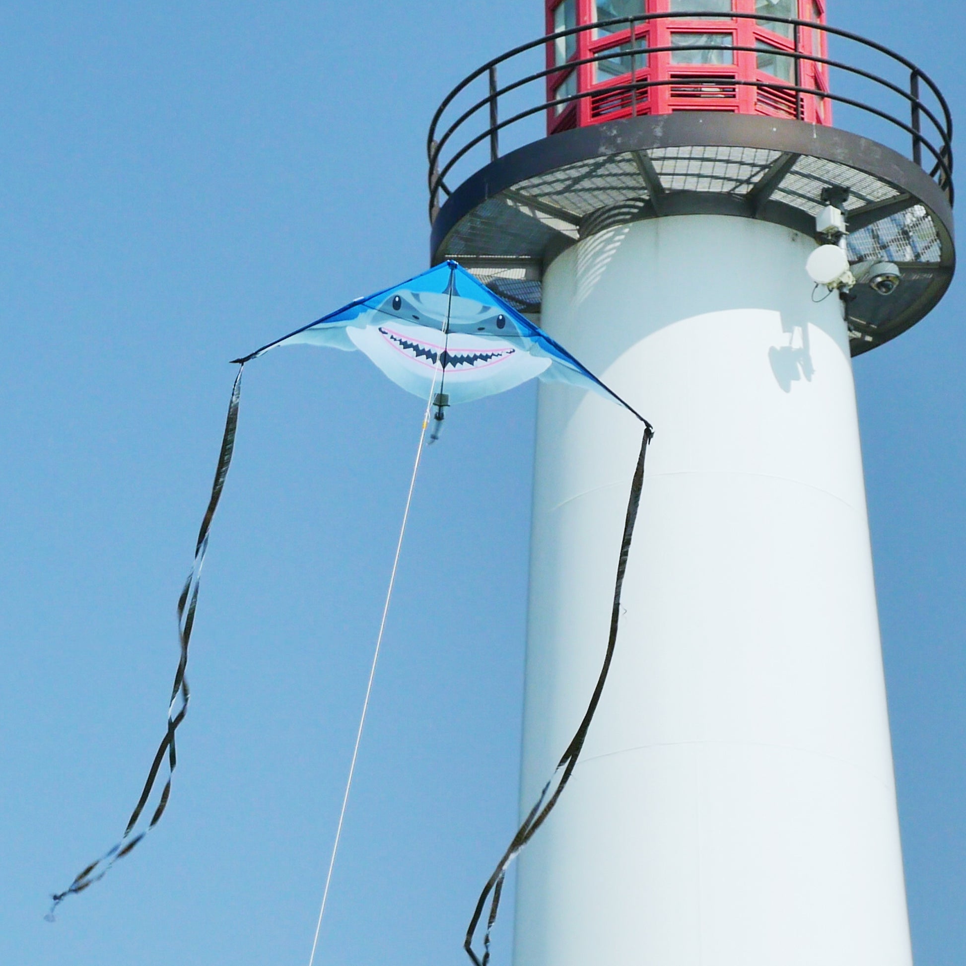 windnsun delta xt shark nylon kite flying