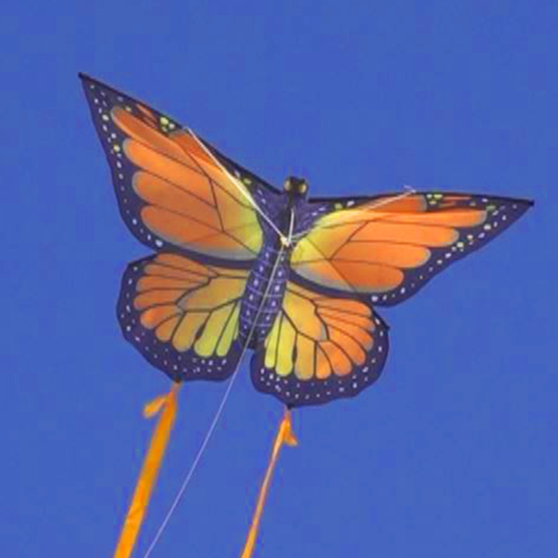 windnsun butterfly monarch nylon kite flying