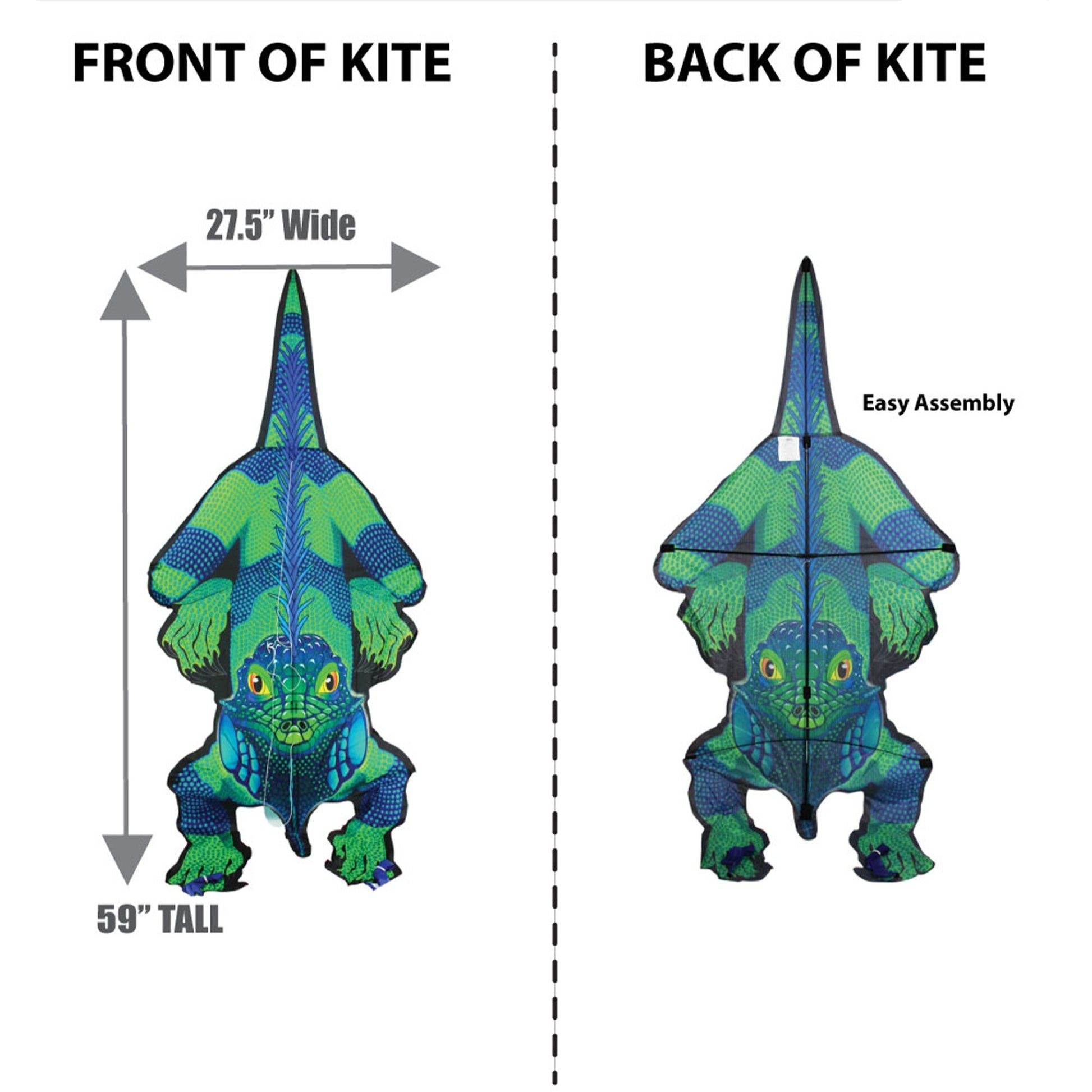windnsun rainforest iguana nylon kite dimensions