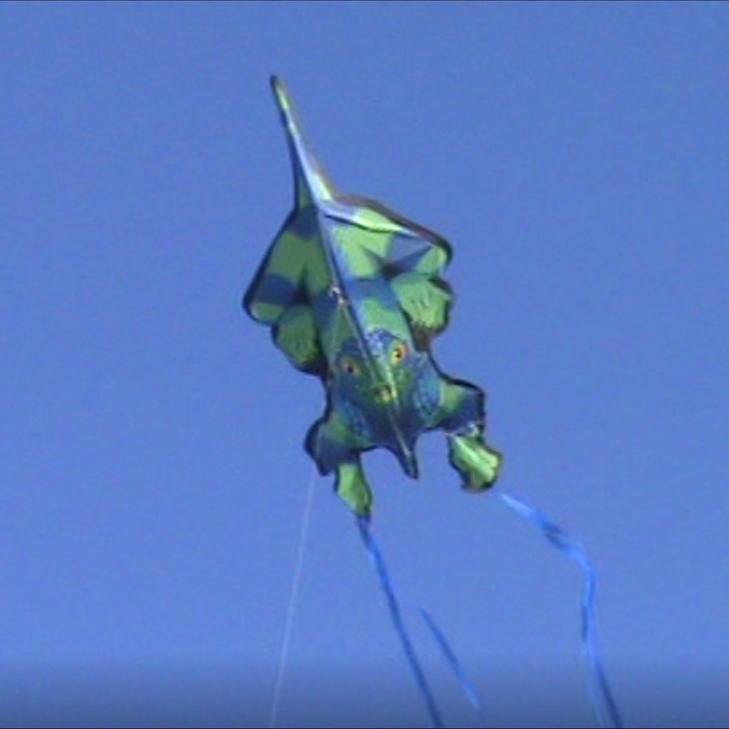 windnsun rainforest iguana nylon kite flying