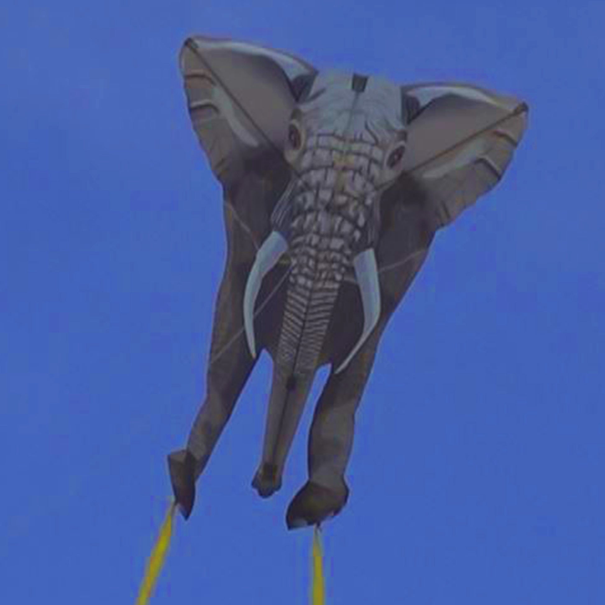 A photo of a WindNSun SkyZoo Elephant Ripstop Nylon Elephant Kite Flying