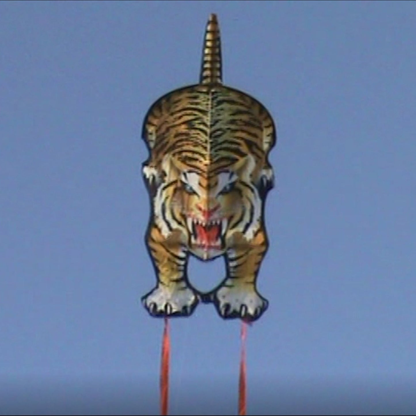 windnsun skyzoo tiger nylon kite flying