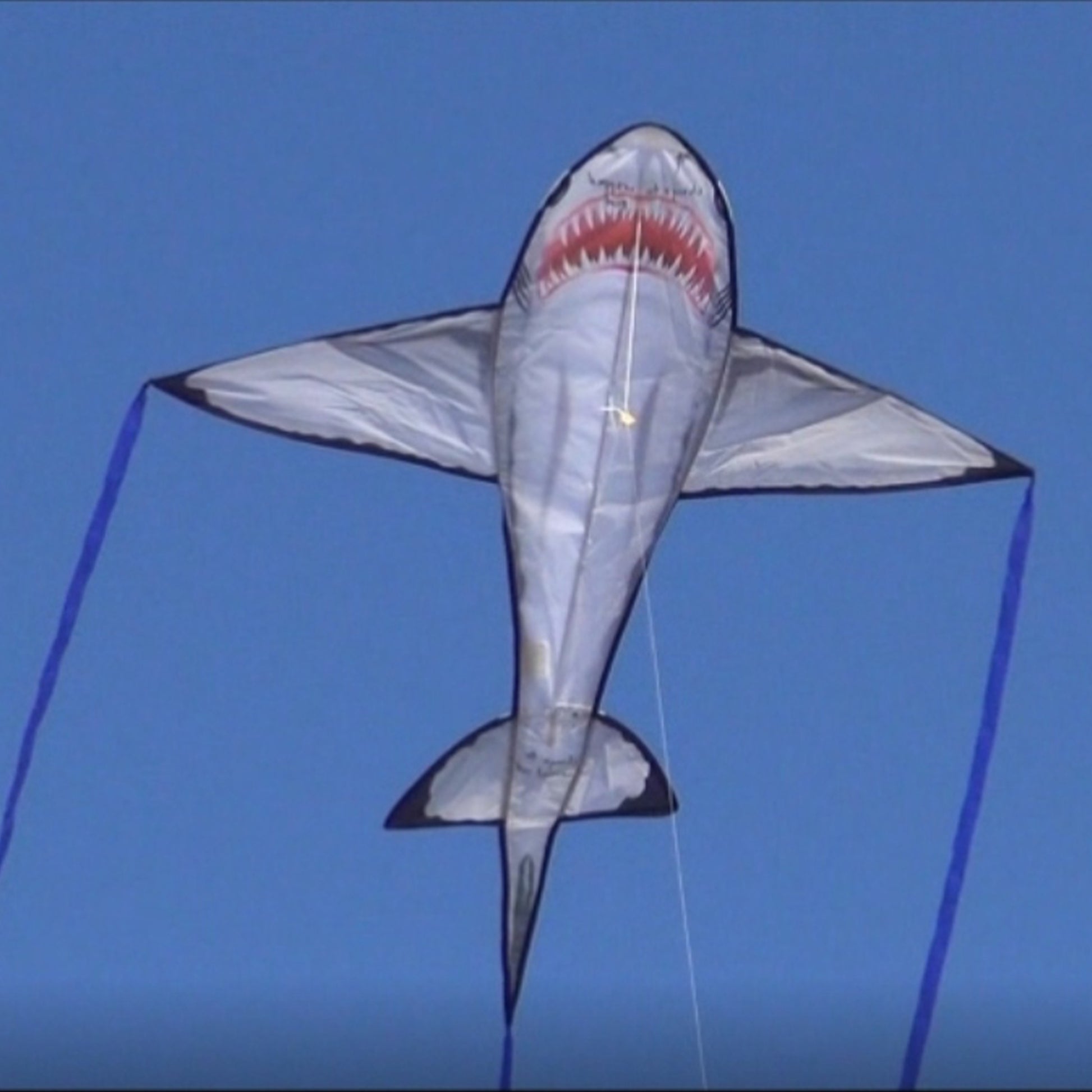 windnsun sealife great white shark nylon kite flying