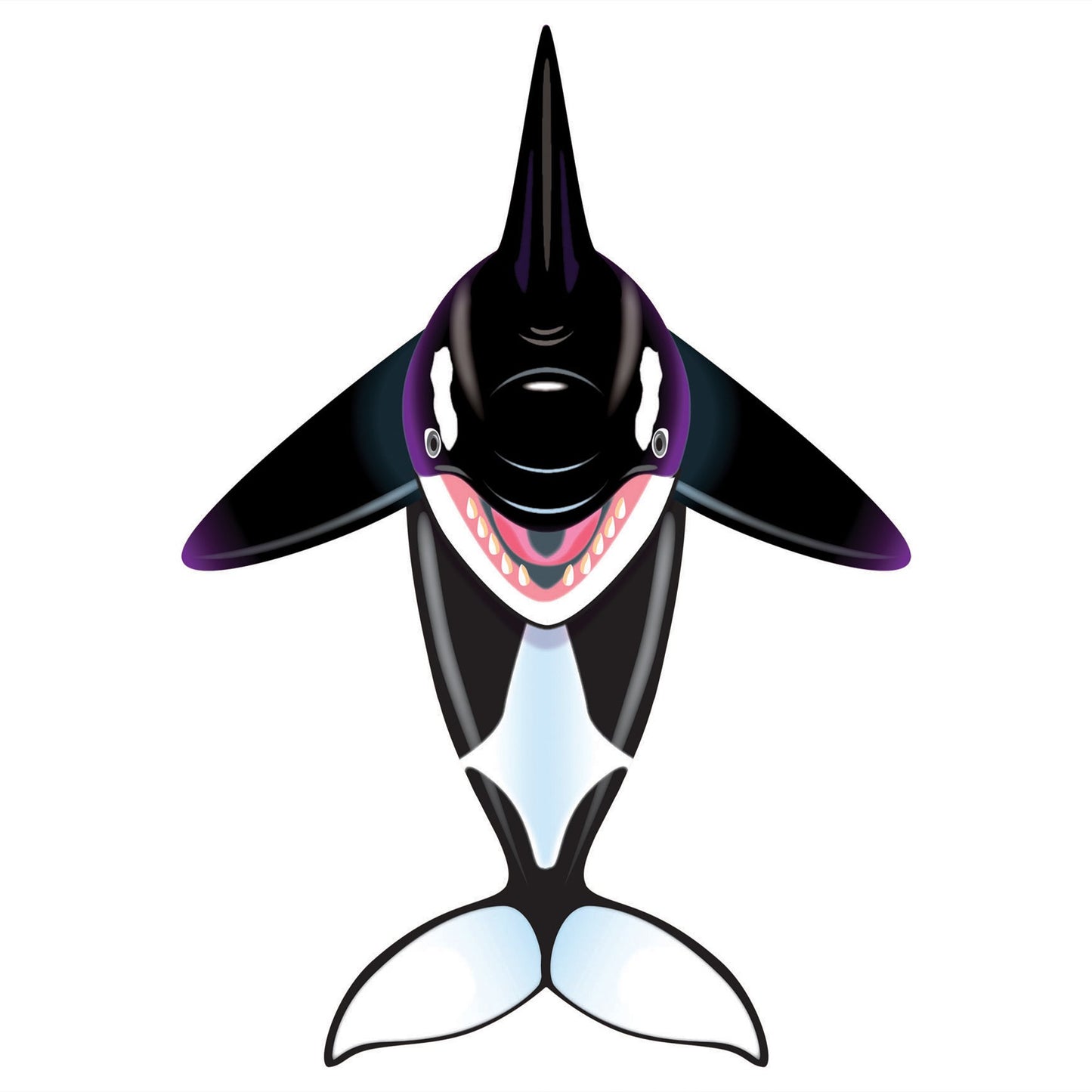 windnsun sealife orca nylon kite