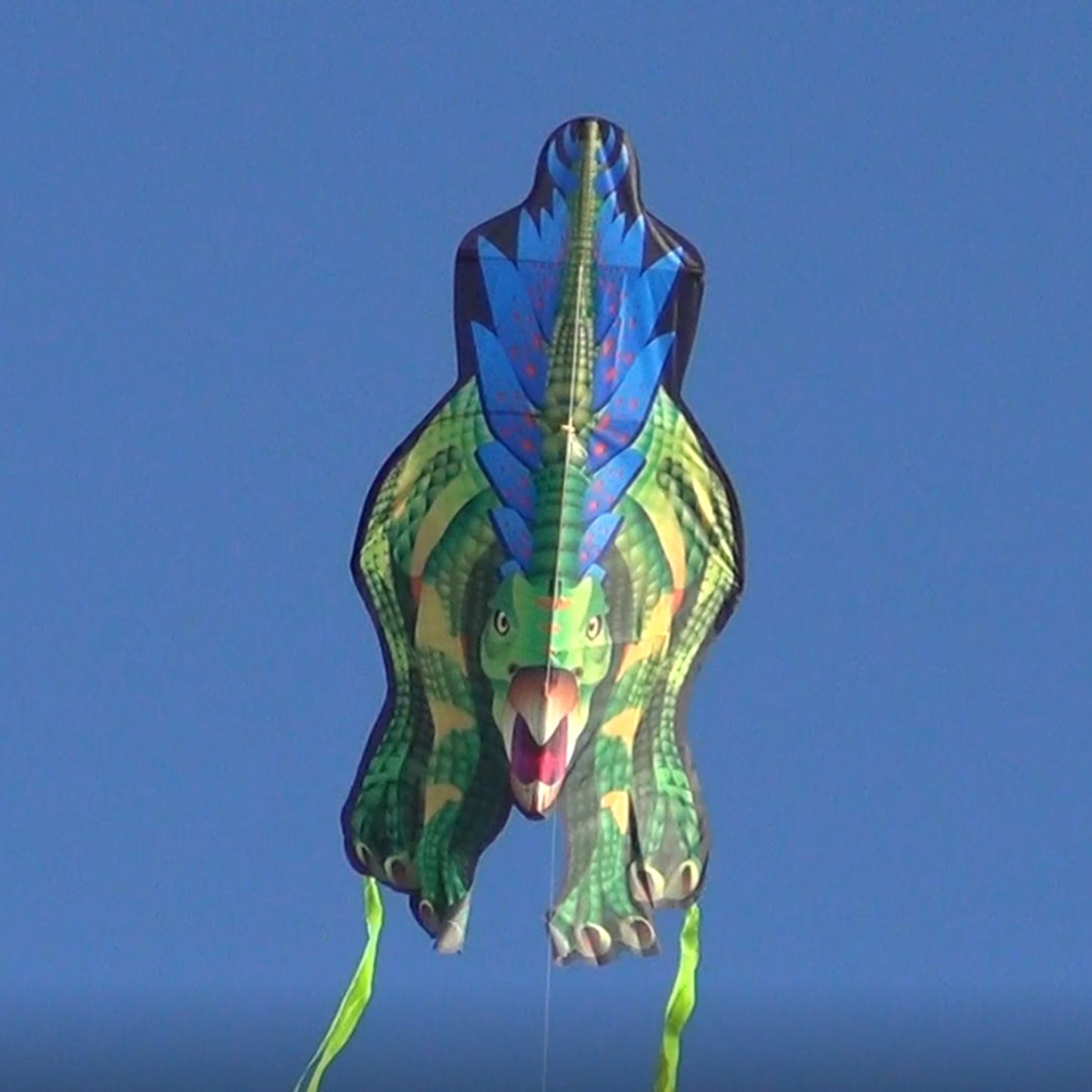 windnsun dinosoars stegosaurus nylon kite flying