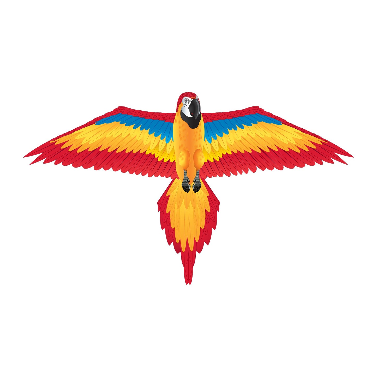 windnsun fantasyfliers red macaw nylon kite