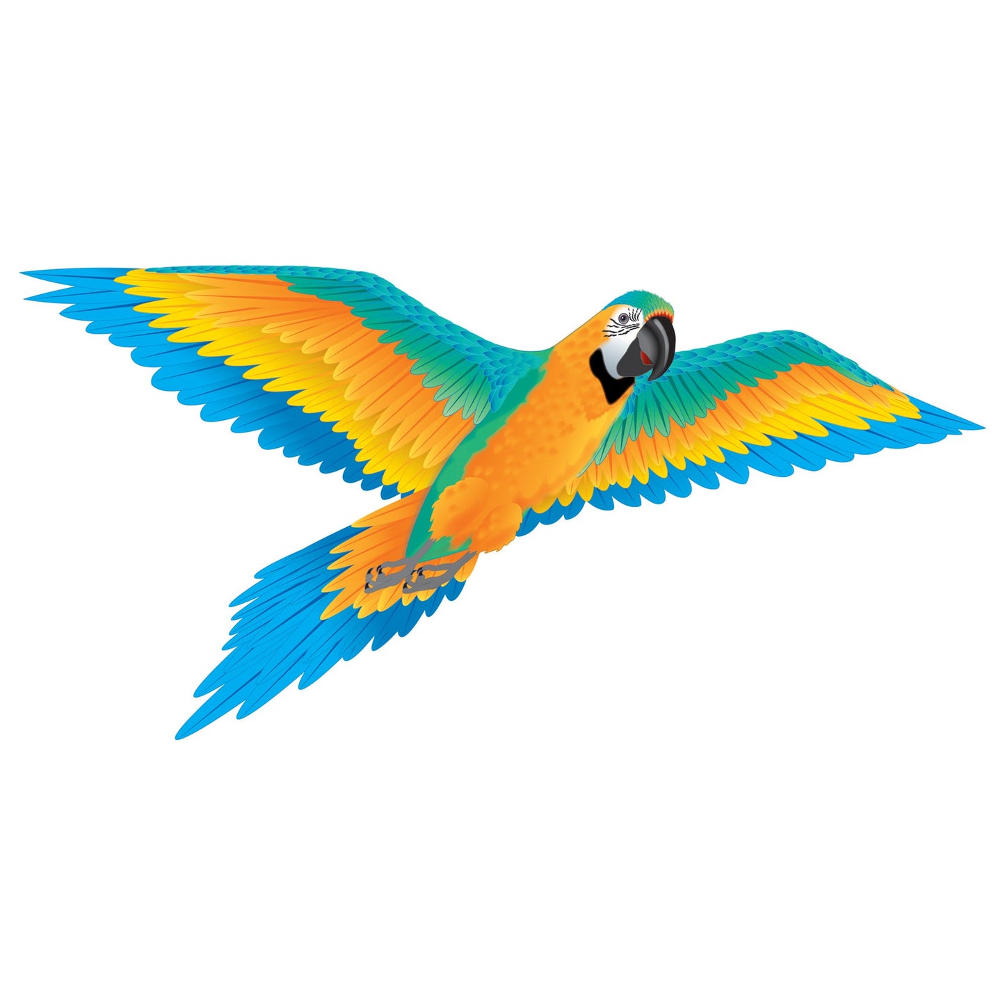 windnsun supersize 3d blue macaw nylon kite