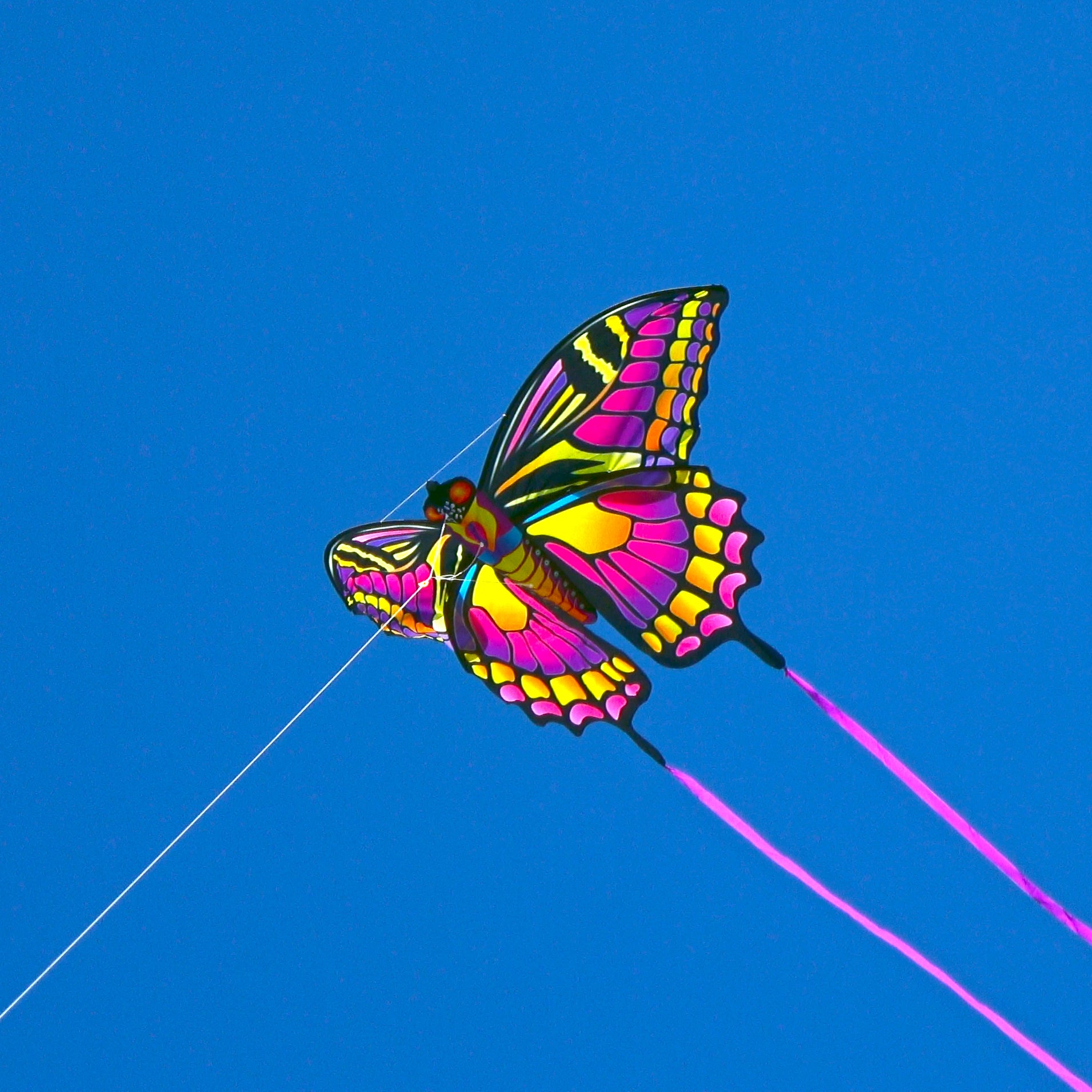 A close up photo of a WindNSun SuperSize Ultra 3D Butterfly Ripstop Nylon Butterfly Kite flying