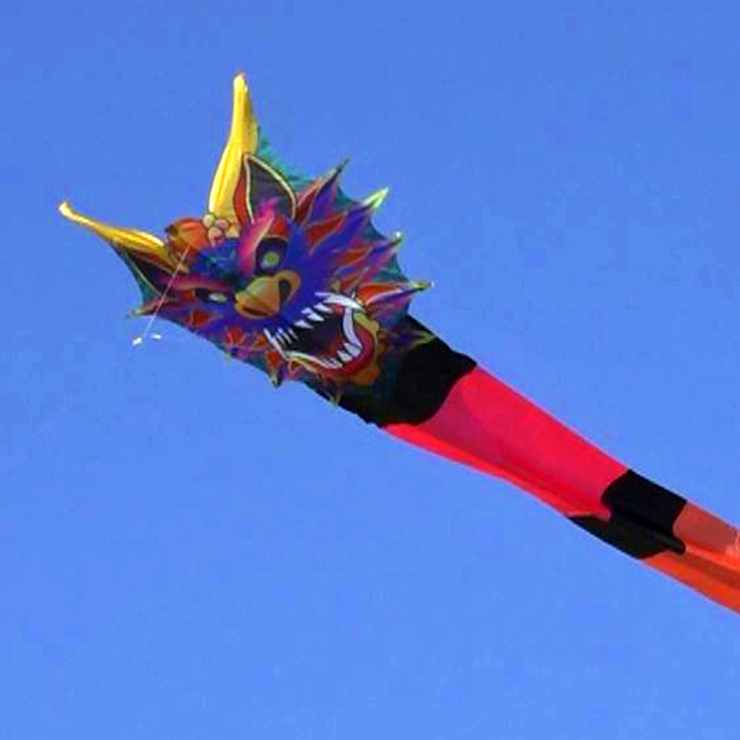 windnsun supersize 3d serpent nylon kite flying