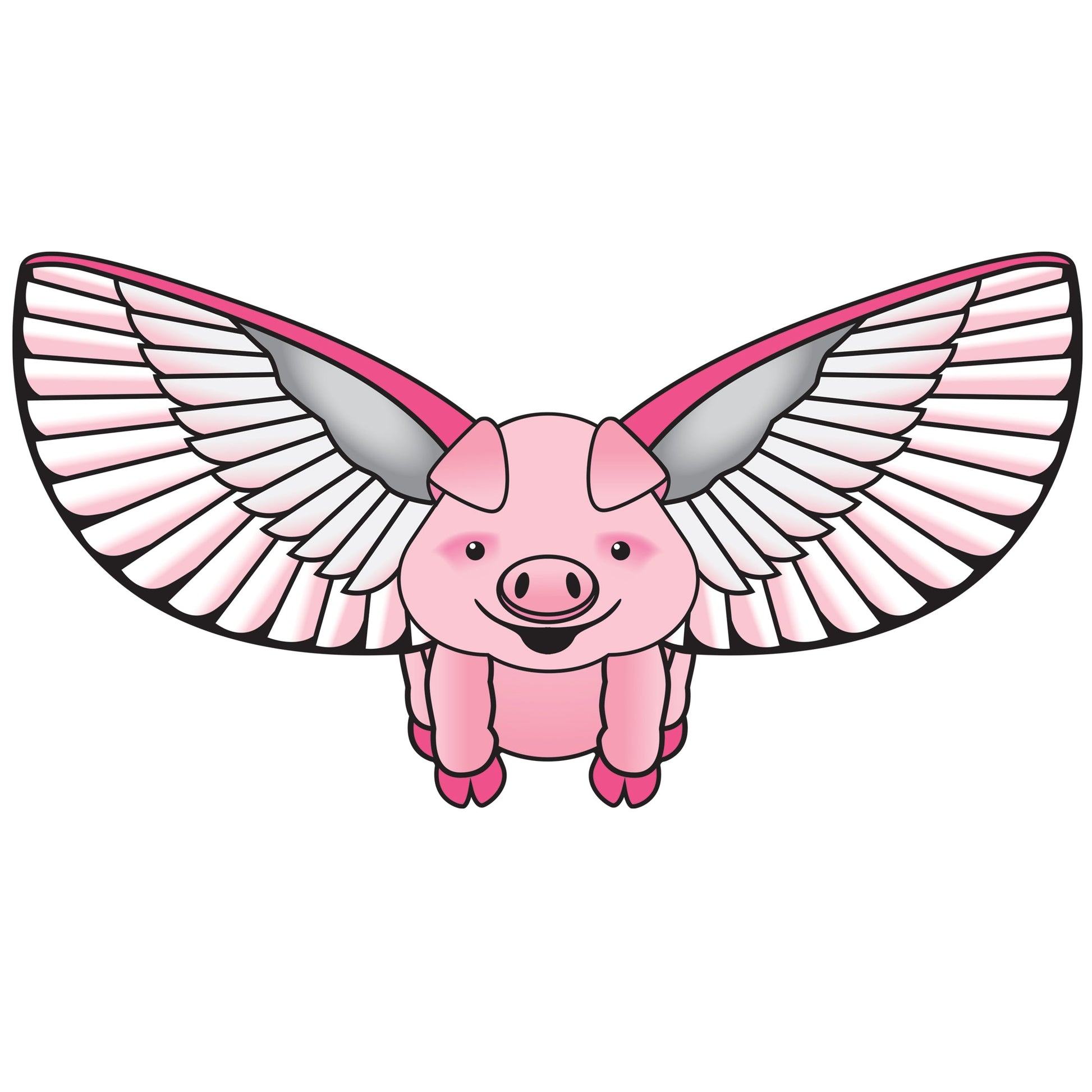 WindNSun SuperSize 2-D FlyingPig Ripstop Nylon Figure Kite, 65 Inches Wide