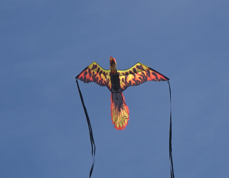 A photo of a WindNSun SuperSize Ultra 3D Firebird Ripstop Nylon Phoenix Kite flying