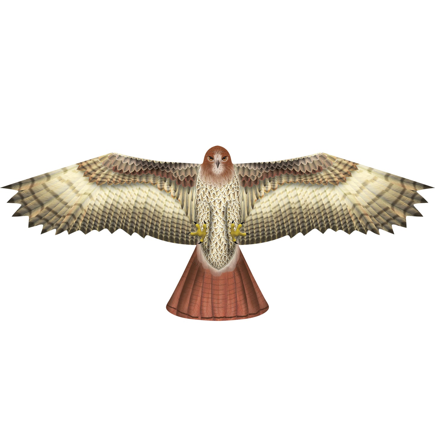 X Kites Birds of Prey Hawk Nylon Bird Kite Product Image