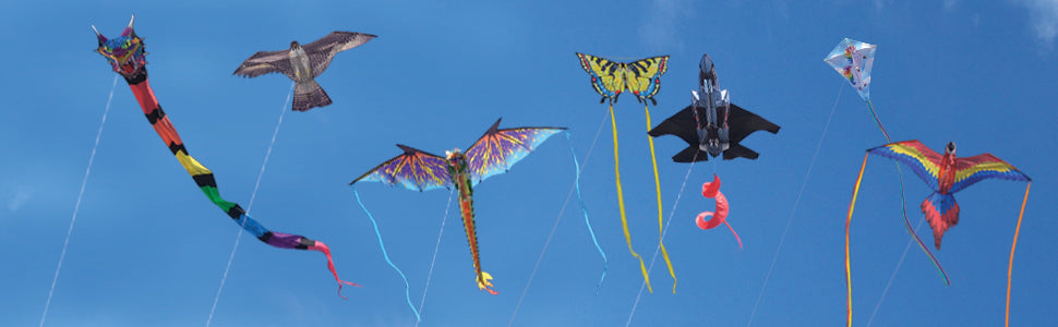 Kite Flying 101 by WINDNSUN Kites