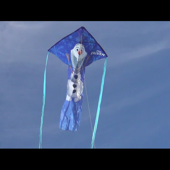 windnsun olaf nylon kite flying video