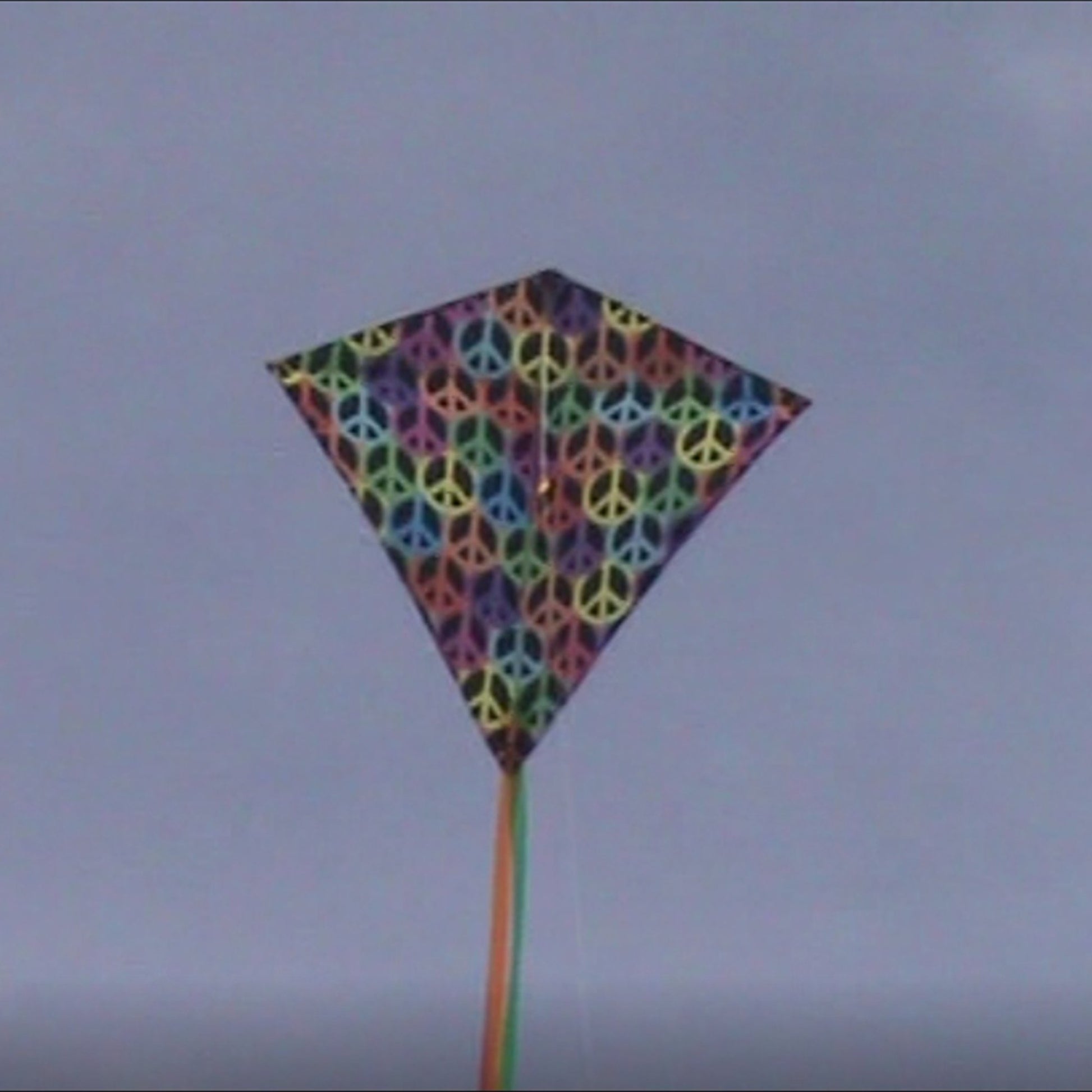windnsun winddiamond peace nylon kite flying