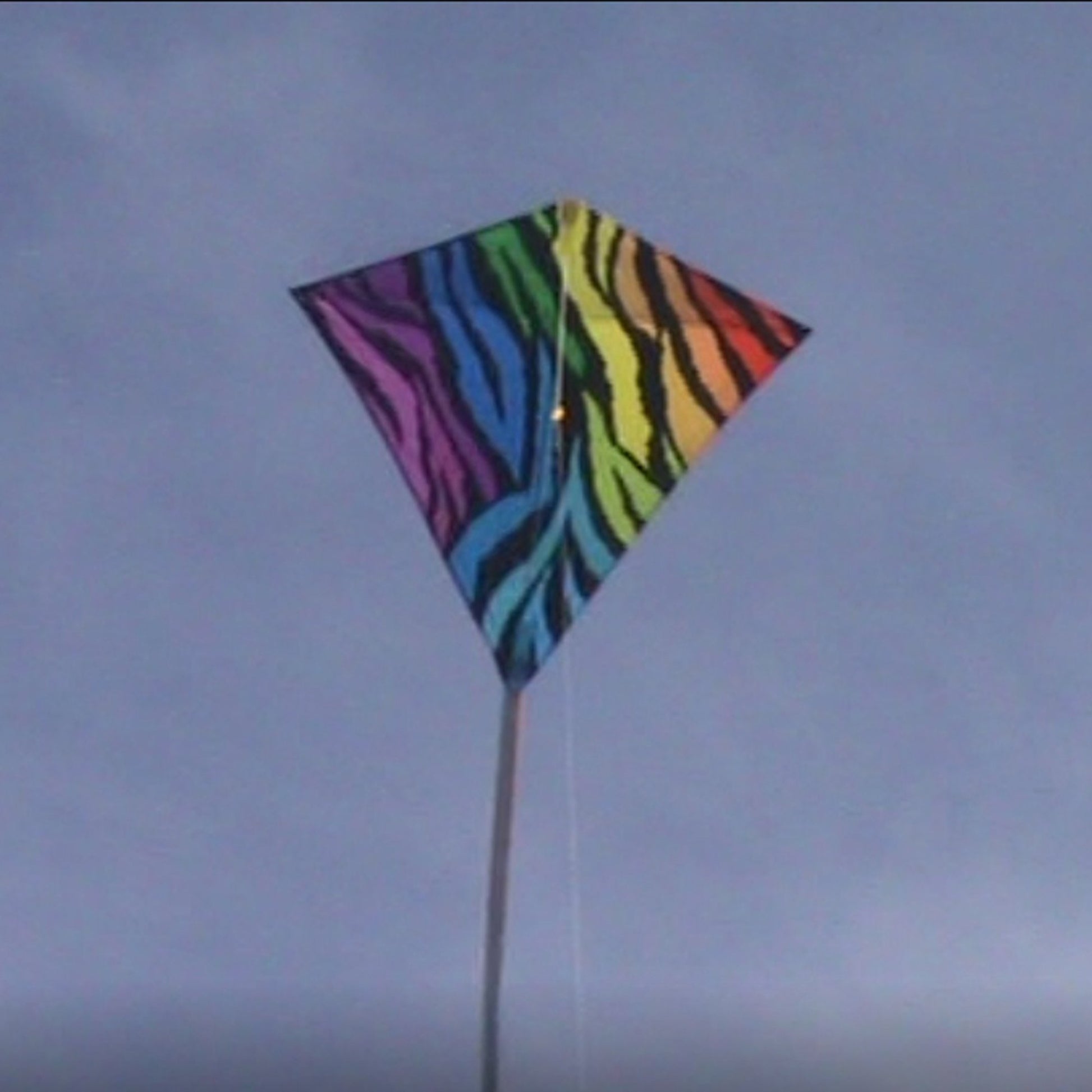 windnsun winddiamond stripes nylon kite flying