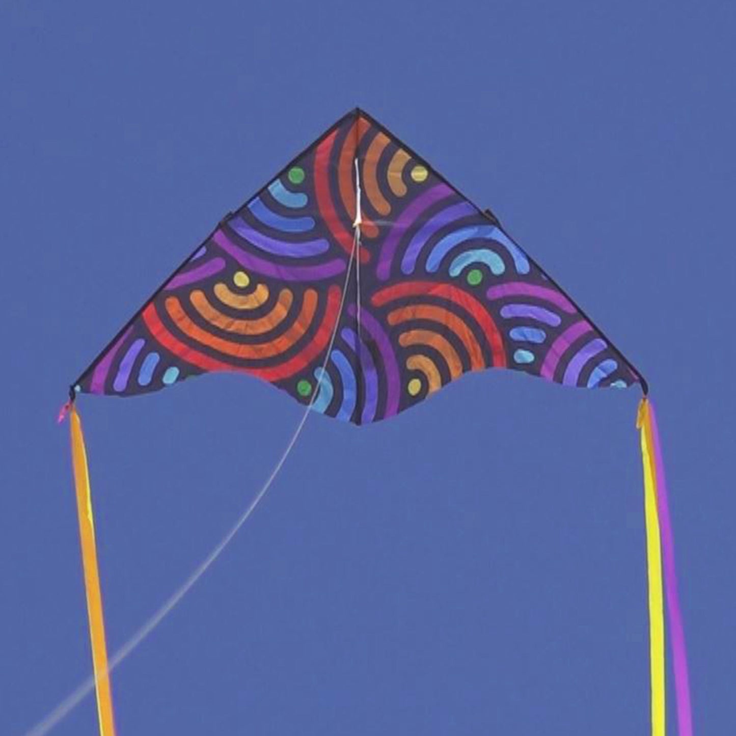 windnsun swirls delta nylon kite flying