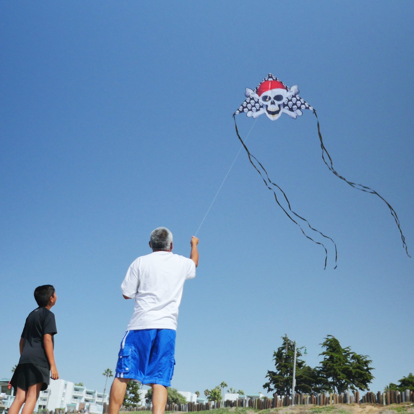 father and son flying skull and bones kite at the park