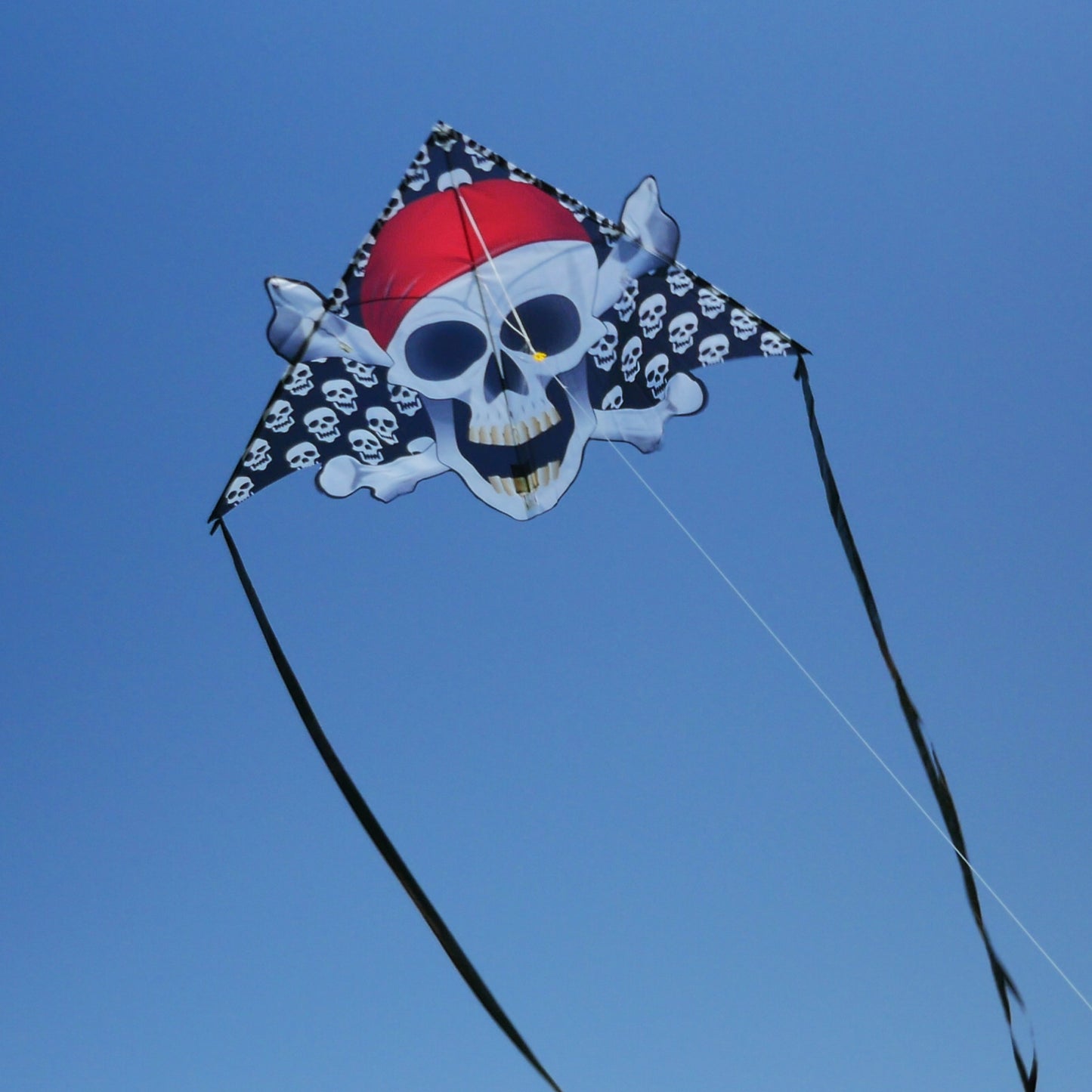 windnsun delta xt skull bones nylon kite flying