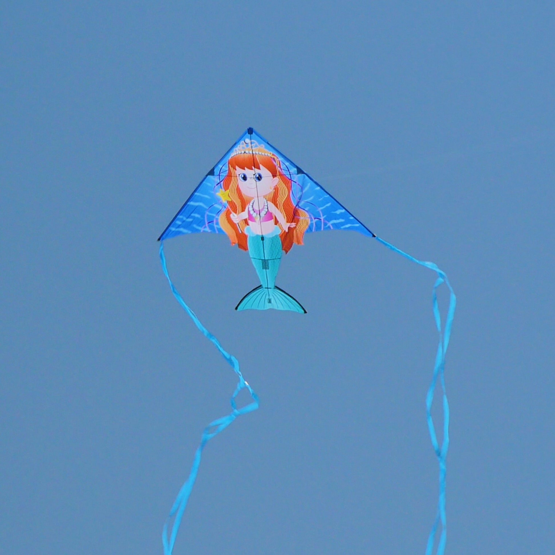 windnsun delta xt mermaid nylon kite flying