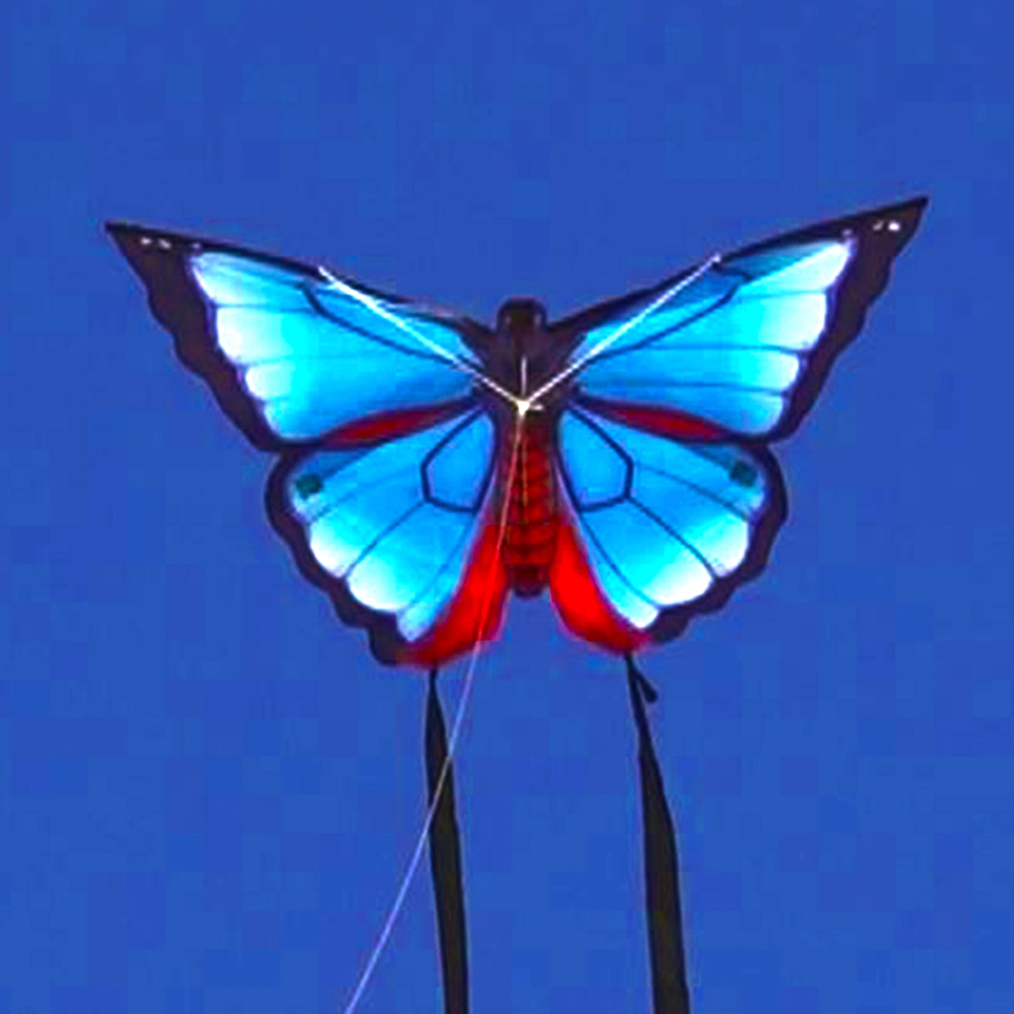 WindNSun Butterfly Karner Blue Nylon Kite, 32 Inches Wide