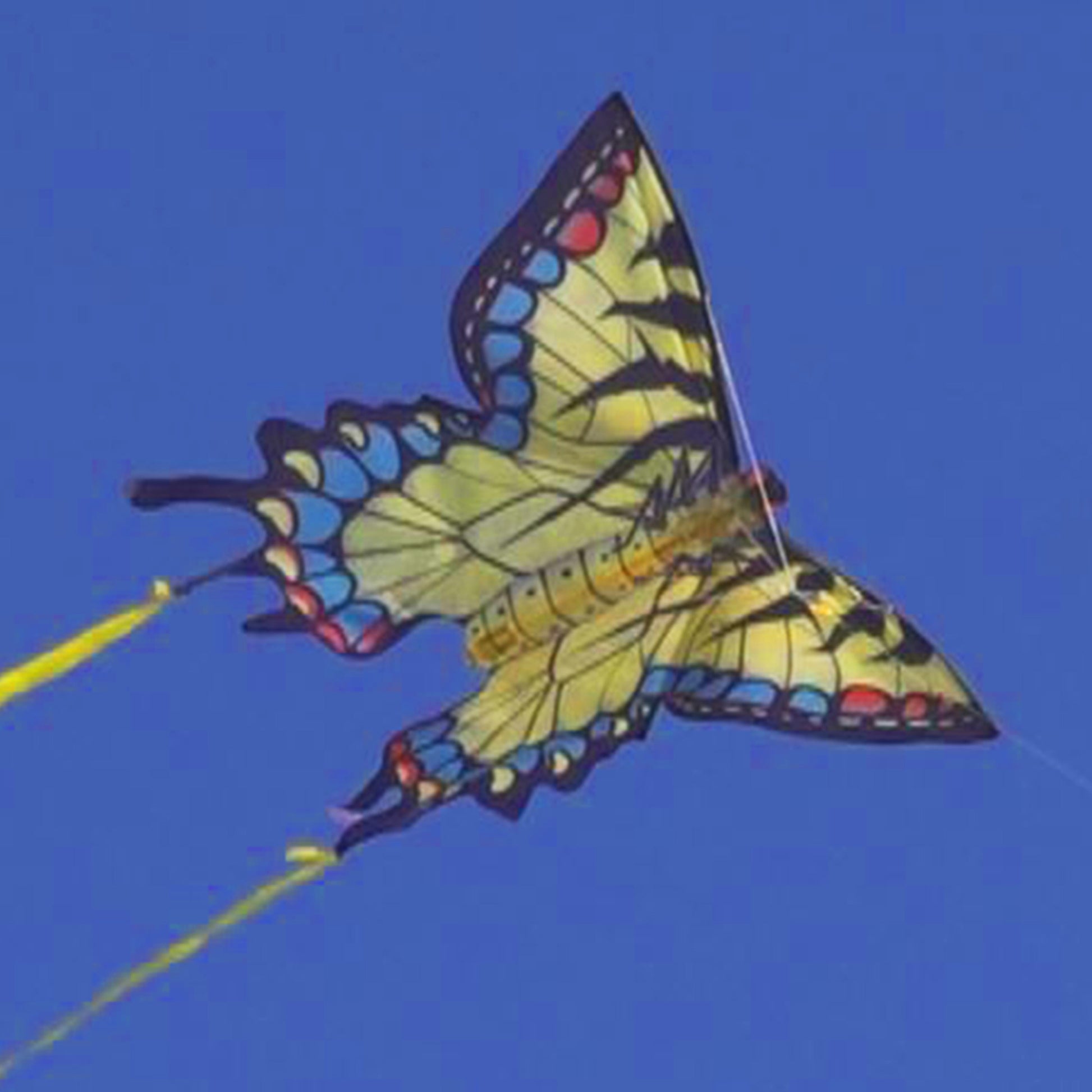 Close up of WindNsun butterfly nylon kite in flight
