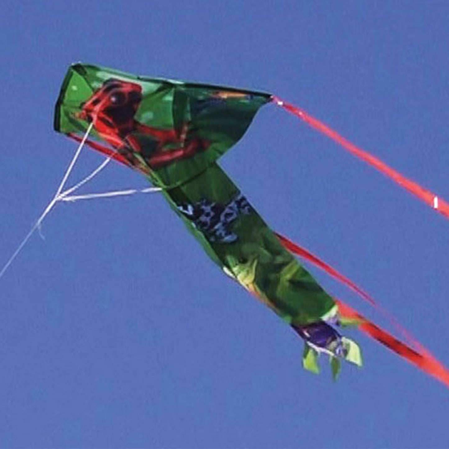 windnsun breezyfliers dart frogs nylon kite flying