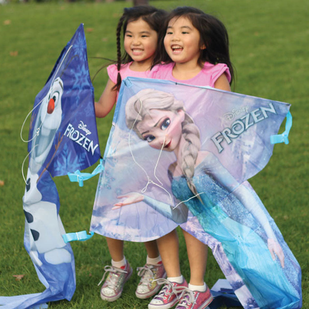 kids holding frozen nylon kite
