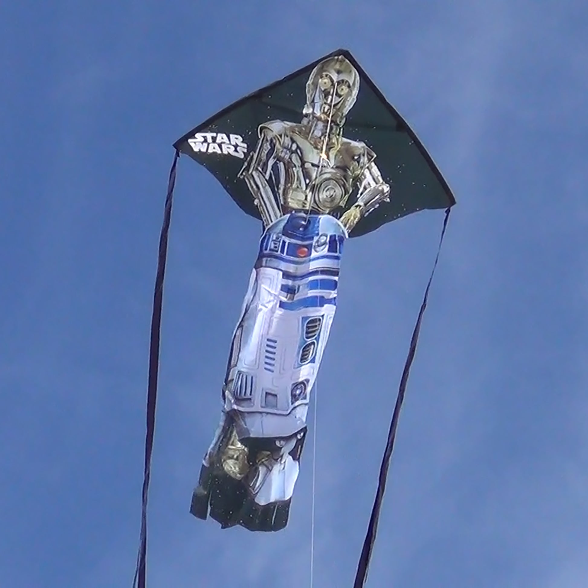 WindNSun Breezy Fliers 57 Star Wars Droids Nylon C3PO & R2D2 Kite photo of product in use