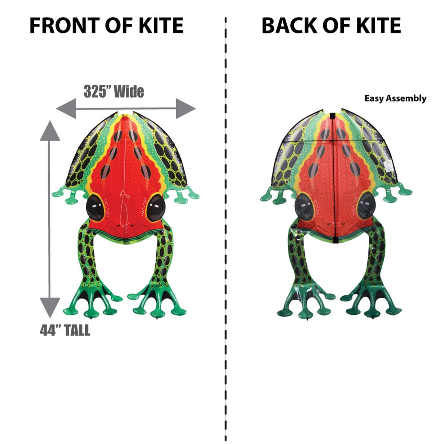 windnsun rainforest dartfrog nylon kite dimensions