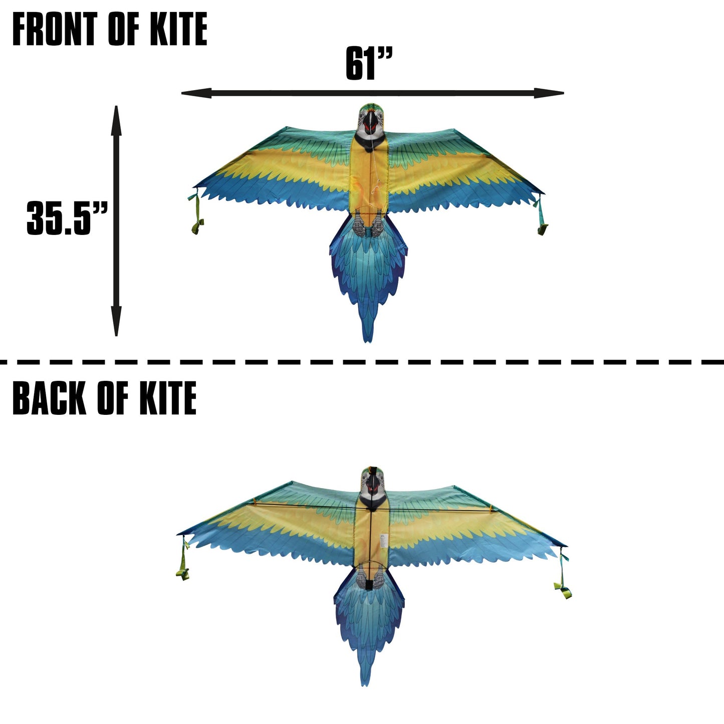 windnsun rainforest macaw nylon kite dimensions