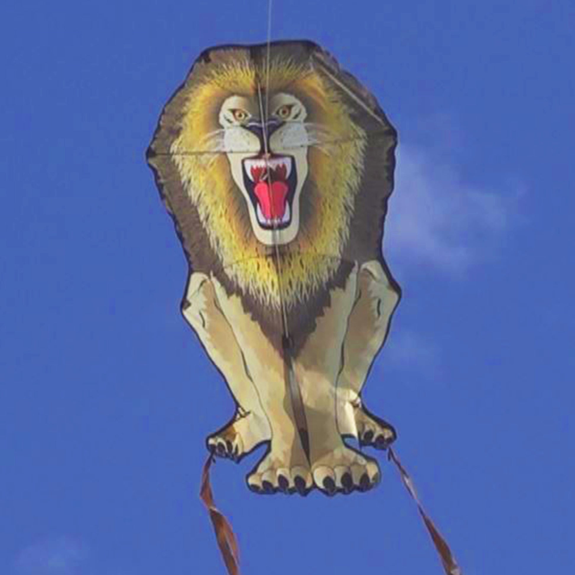 windnsun skyzoo lion nylon kite flying
