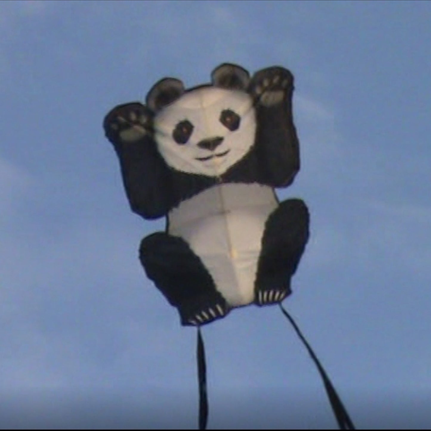 windnsun skyzoo panda nylon kite flying