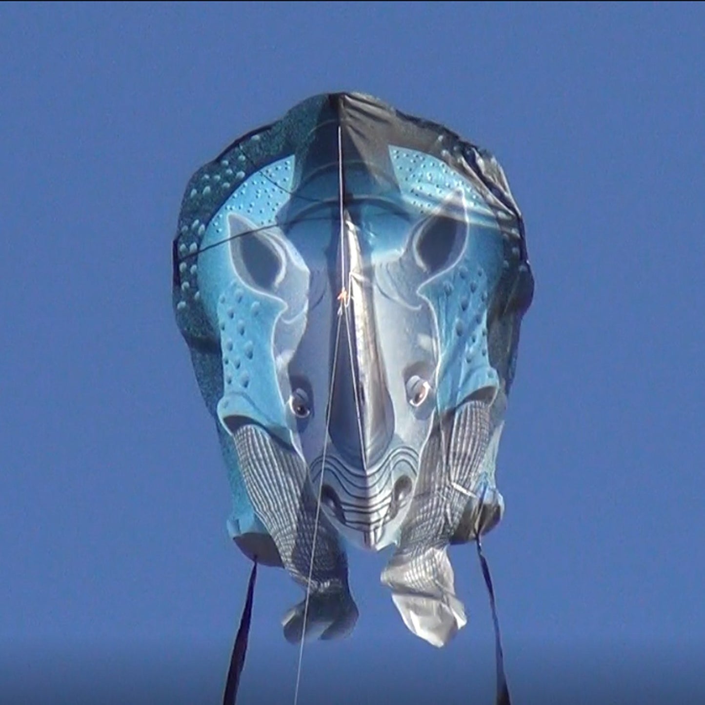 windnsun skyzoo rhinoceros nylon kite flying