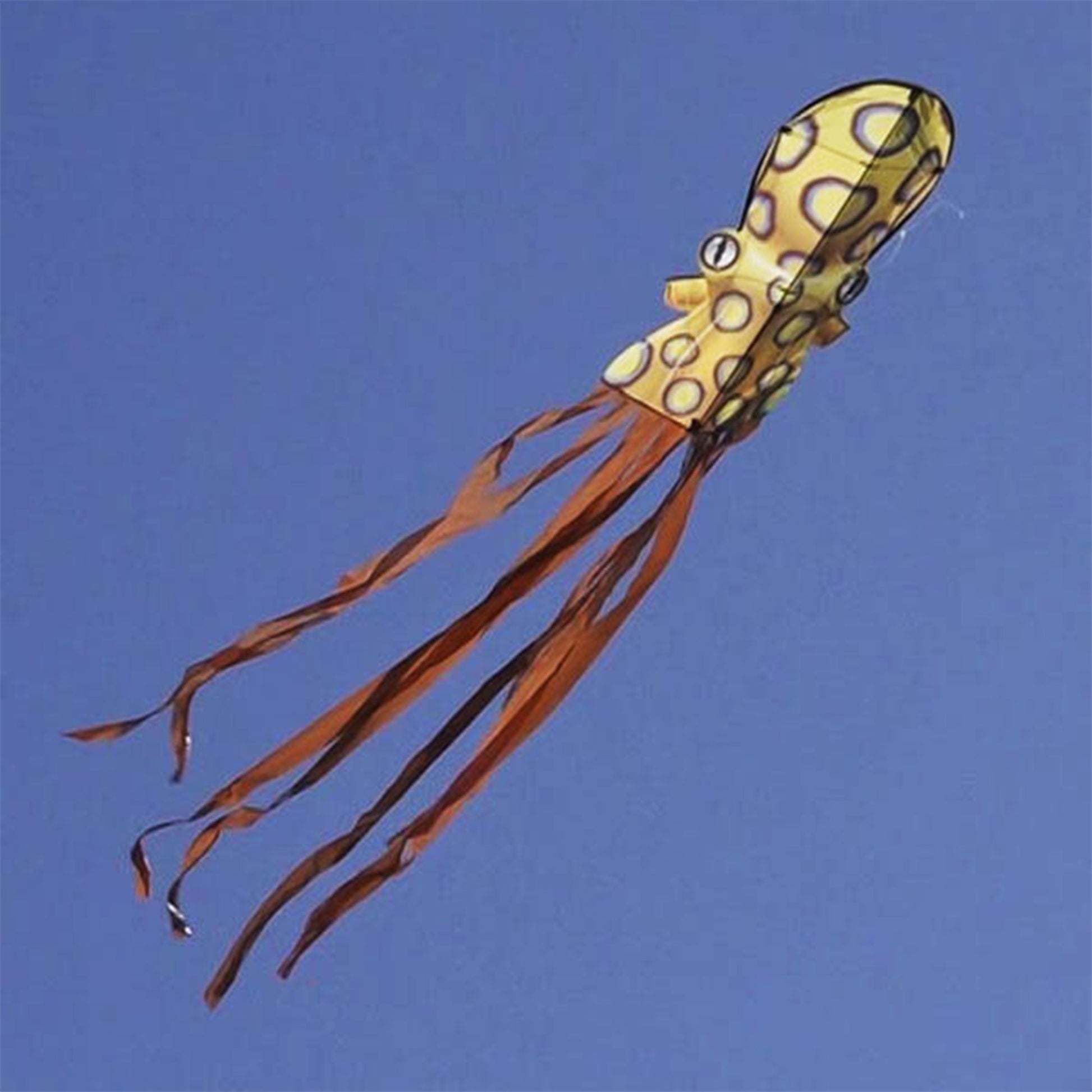 windnsun sealife octopus nylon kite flying