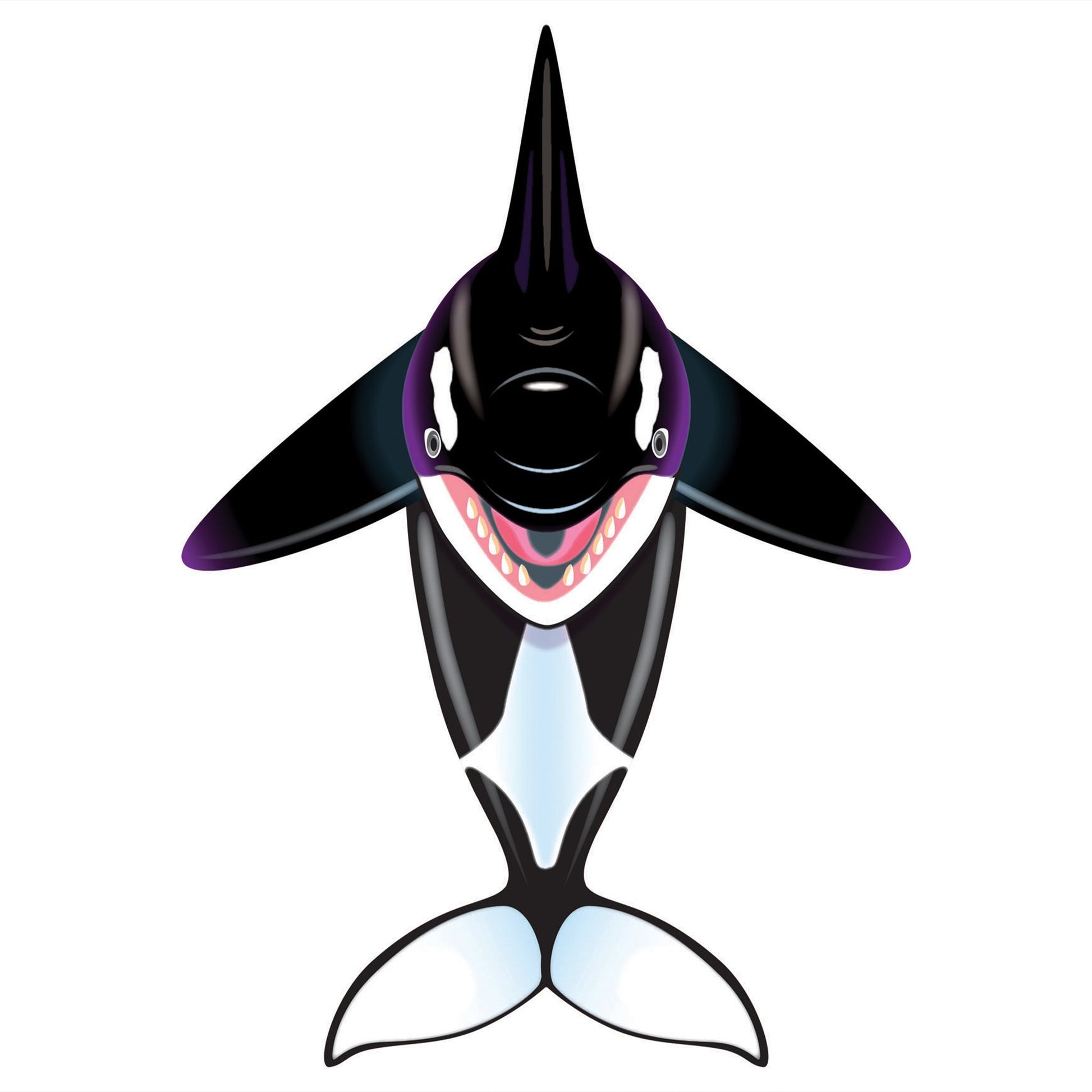windnsun sealife orca nylon kite