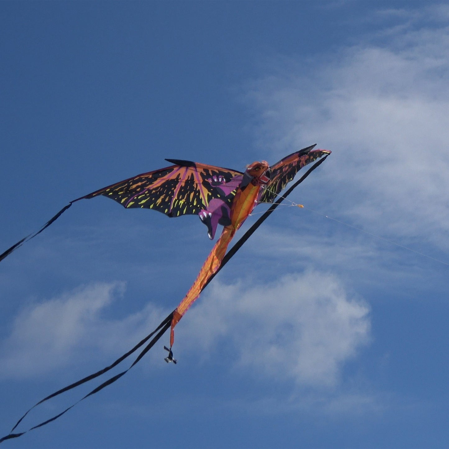 windnsun fantasyfliers 3d dragon nylon kite flying