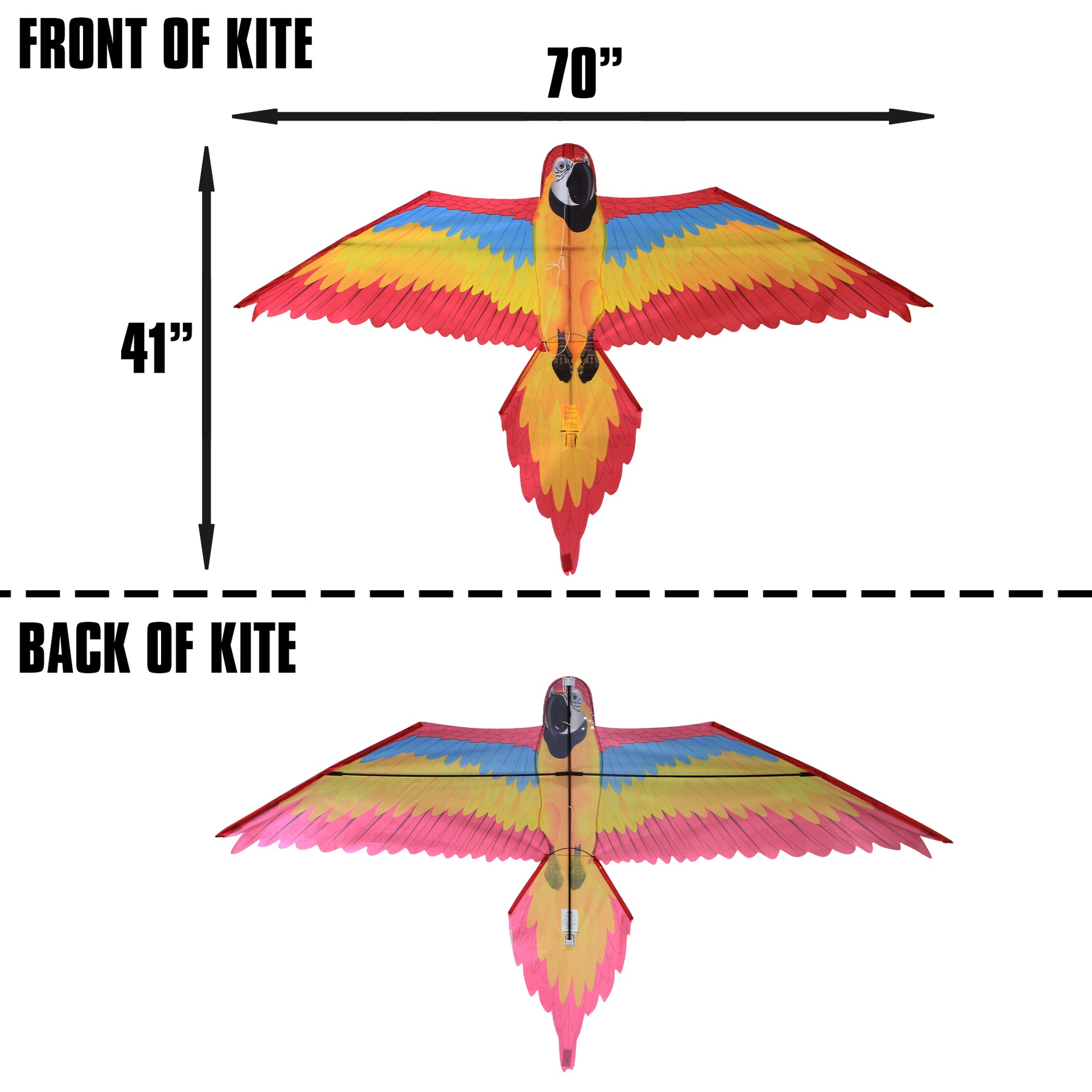 windnsun fantasyfliers red macaw nylon kite dimensions