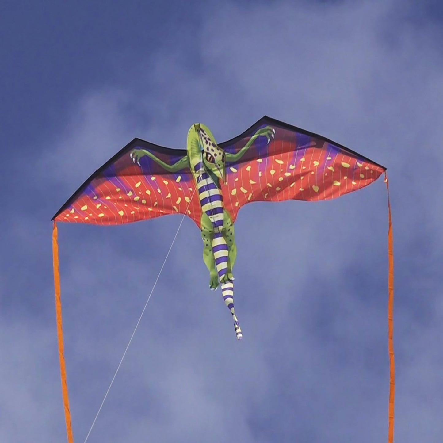 windnsun fantasyfliers pterodactyl nylon kite flying