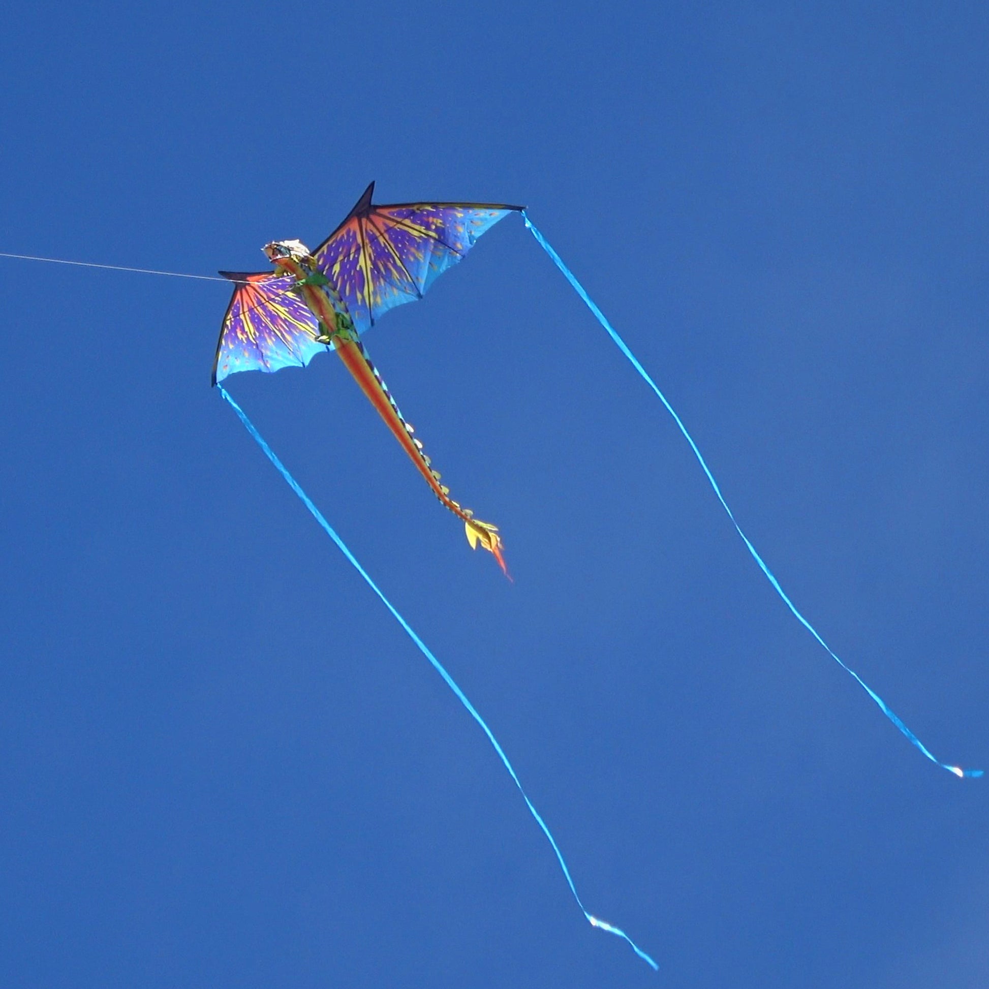 windnsun supersize 3d blue dragon nylon kite flying