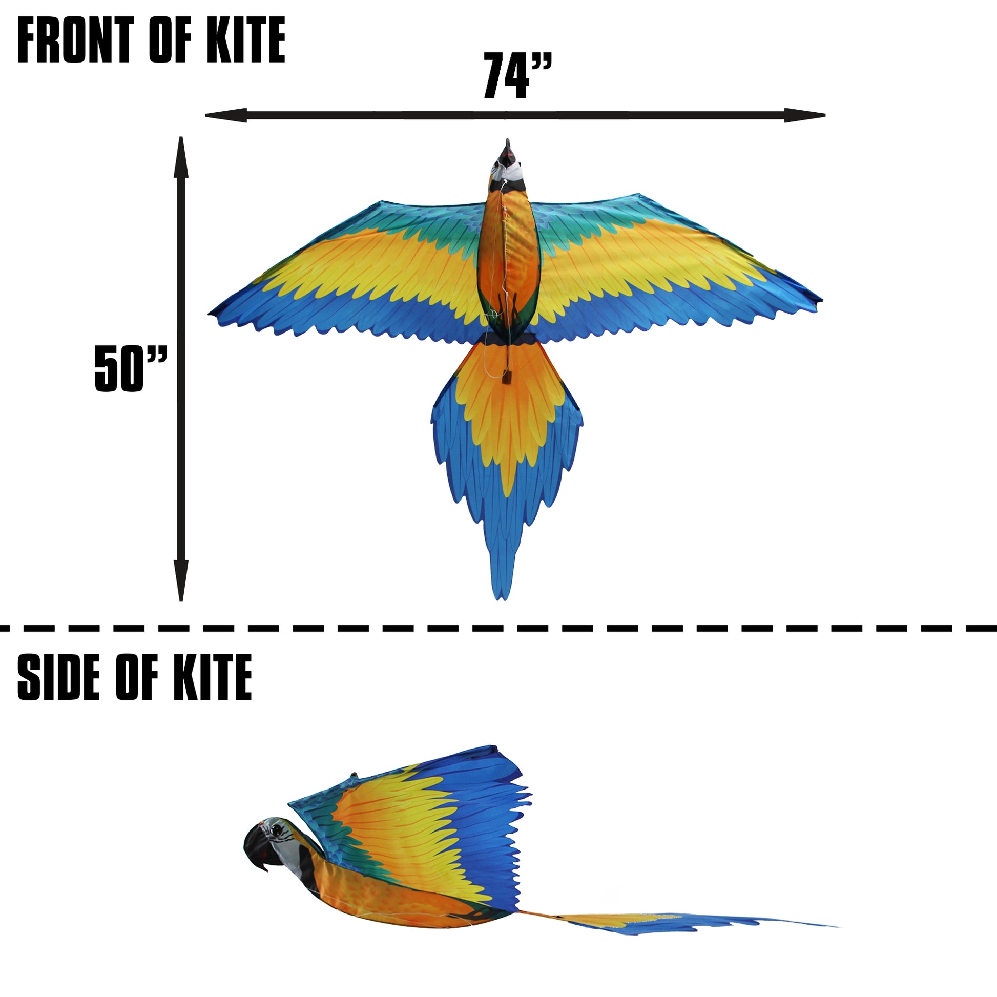 windnsun supersize 3d blue macaw nylon kite dimensions