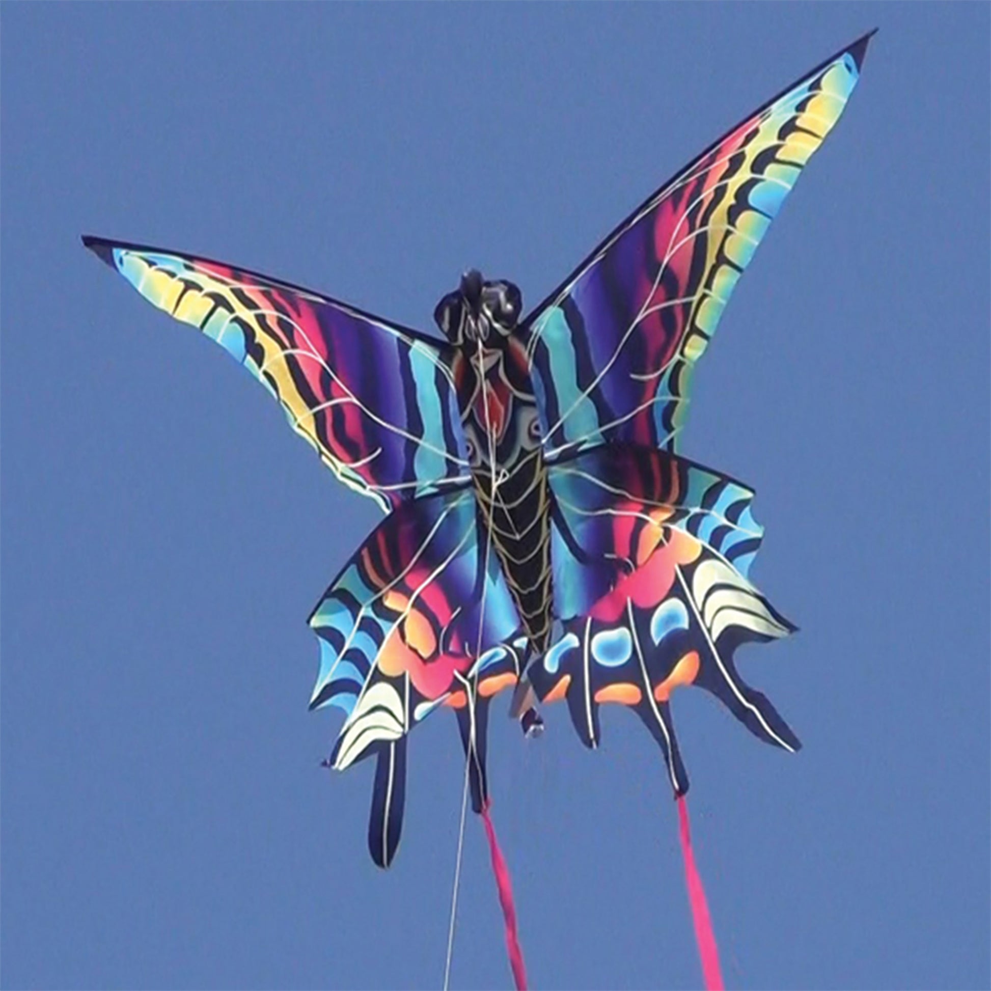windnsun supersize 3d butterfly nylon kite flying