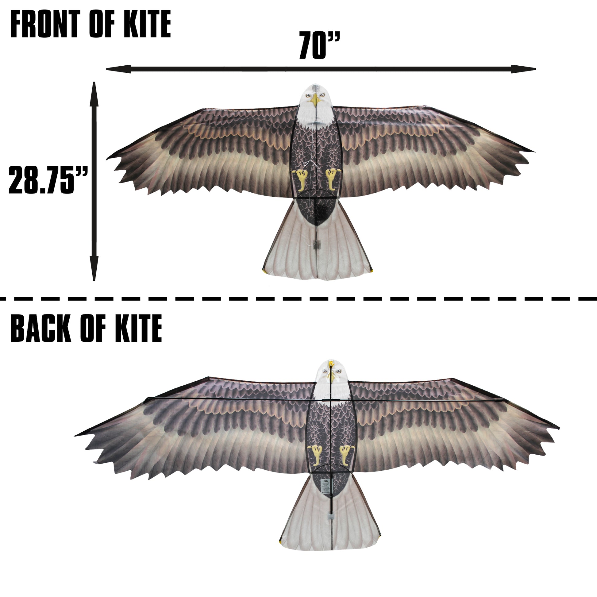windnsun supersize 2d eagle nylon kite dimensions
