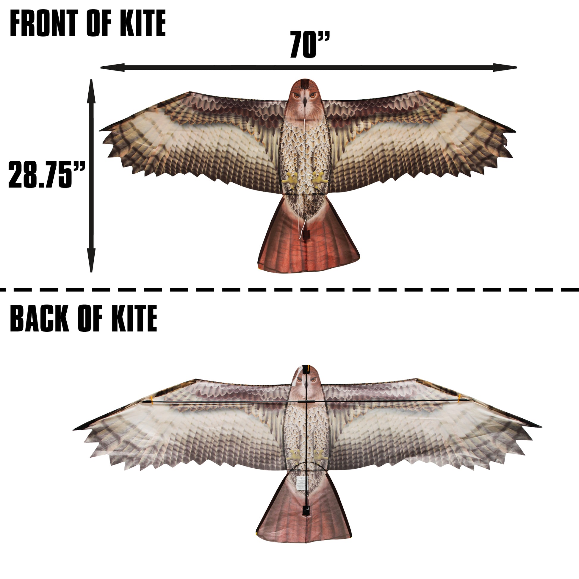 windnsun supersize 2d hawk nylon kite dimensions
