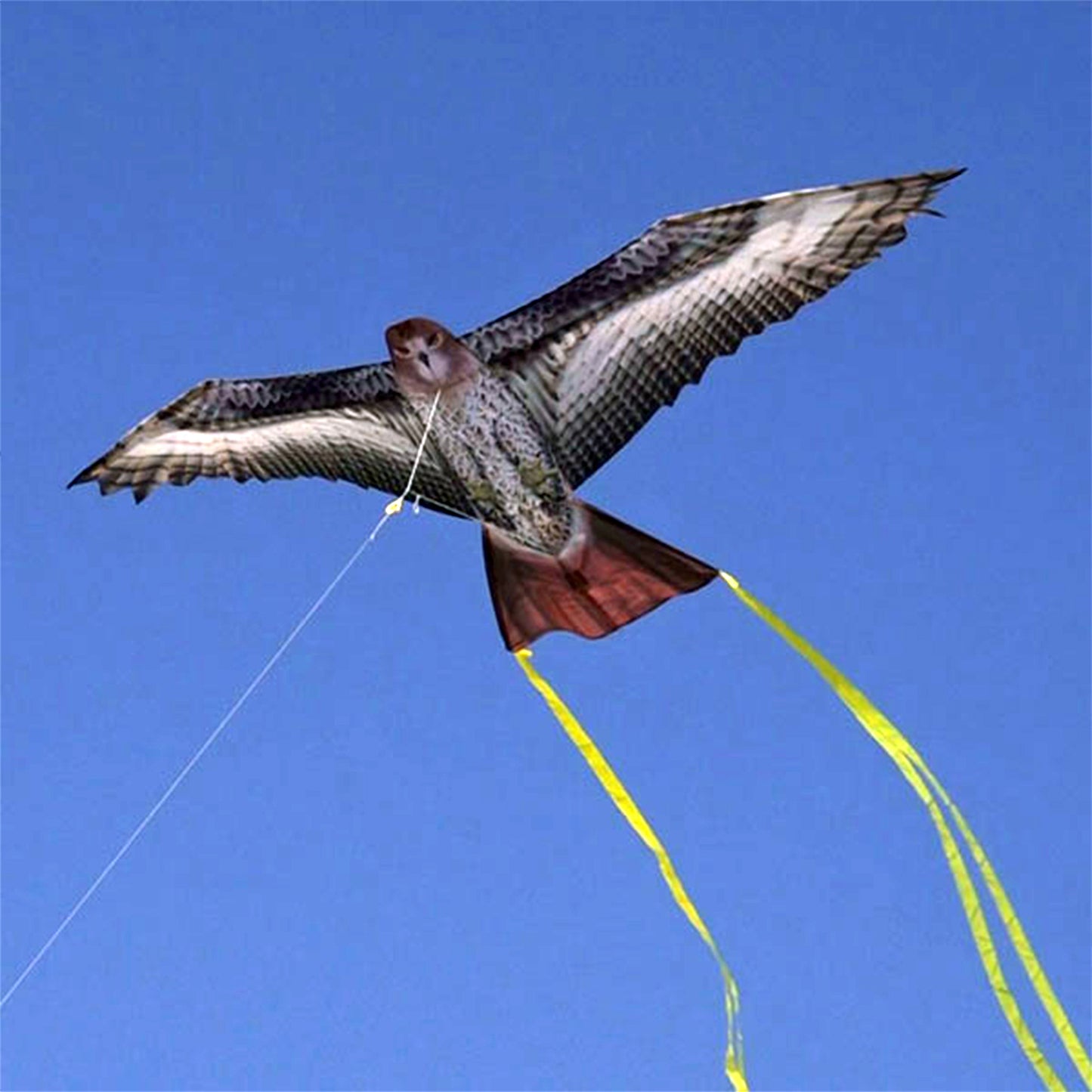 windnsun supersize 2d hawk nylon kite flying