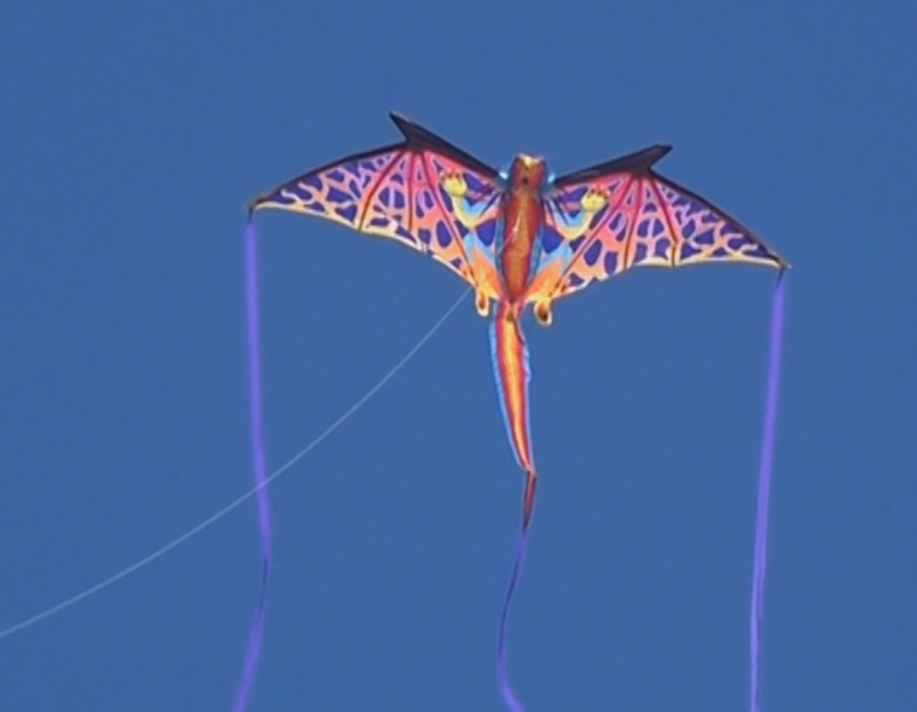 A photo of a WindNSun SuperSize Ultra 3D Dragon Ripstop Nylon Dragon Kite flying