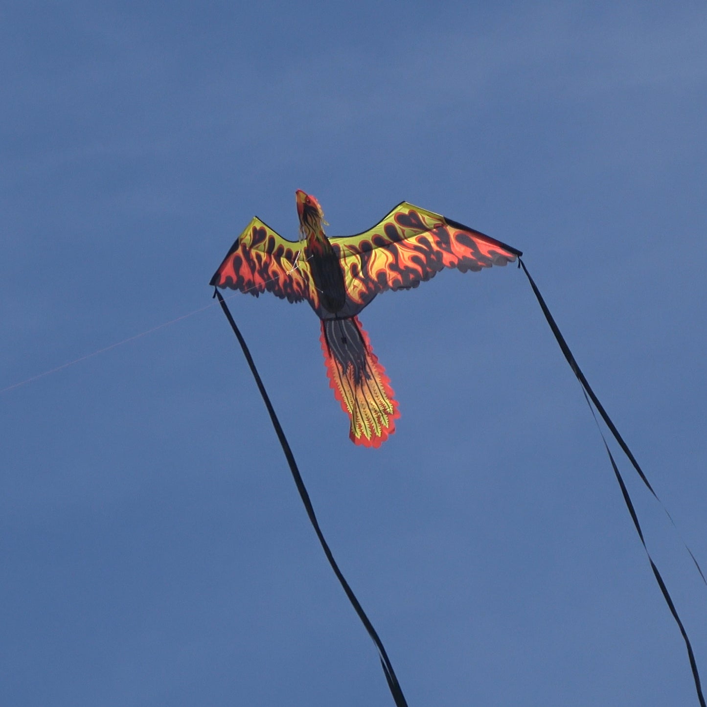 A close up photo of a WindNSun SuperSize Ultra 3D Firebird Ripstop Nylon Phoenix Kite flying
