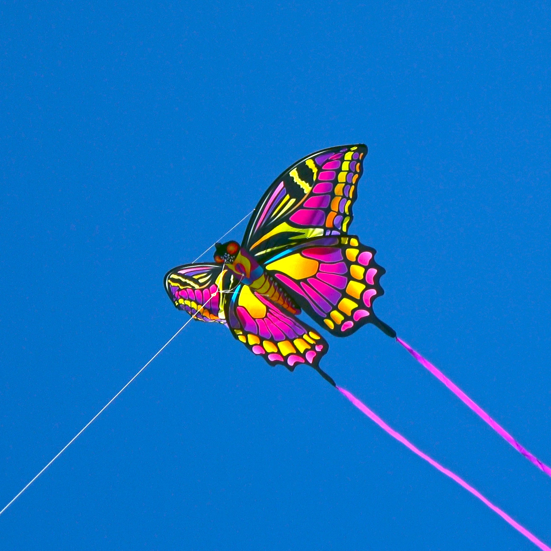 A close up photo of a WindNSun SuperSize Ultra 3D Butterfly Ripstop Nylon Butterfly Kite flying