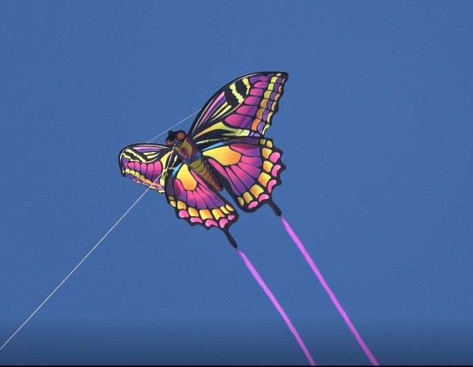 A photo of a WindNSun SuperSize Ultra 3D Butterfly Ripstop Nylon Butterfly Kite flying